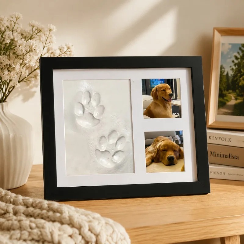 DIY Pet Paw Print Memorial Kit - đánh giá và giá Photographic Memory