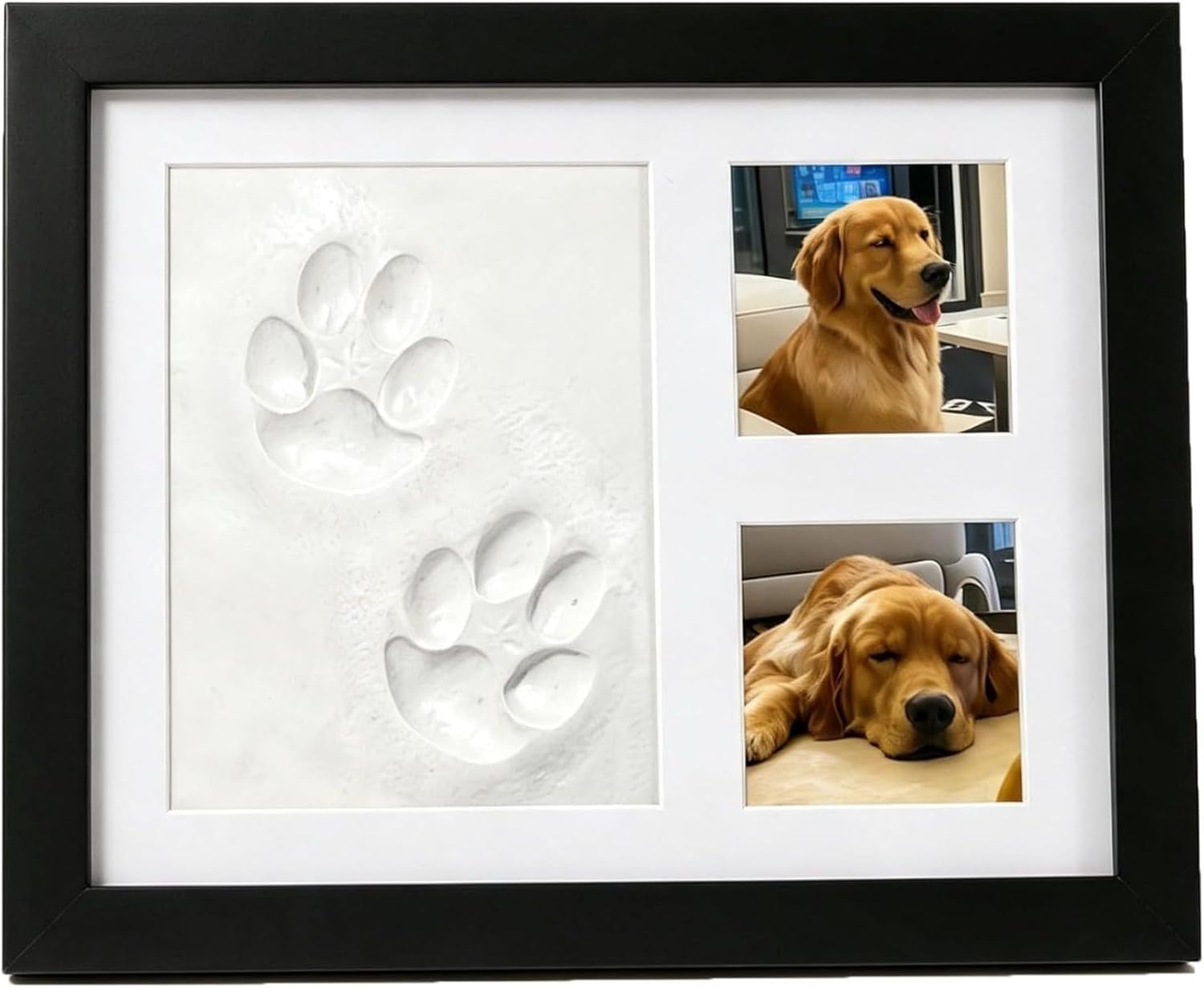 DIY Pet Paw Print Memorial Kit - đánh giá và giá Photographic Memory